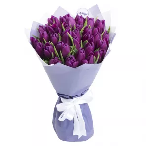 31 сиреневый тюльпан