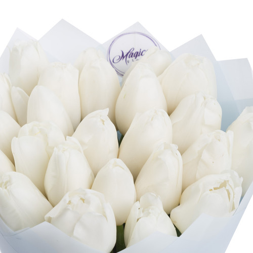 Белые тюльпаны 25 шт.