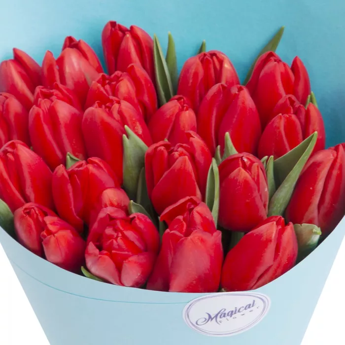 Букет из 21 красного тюльпана