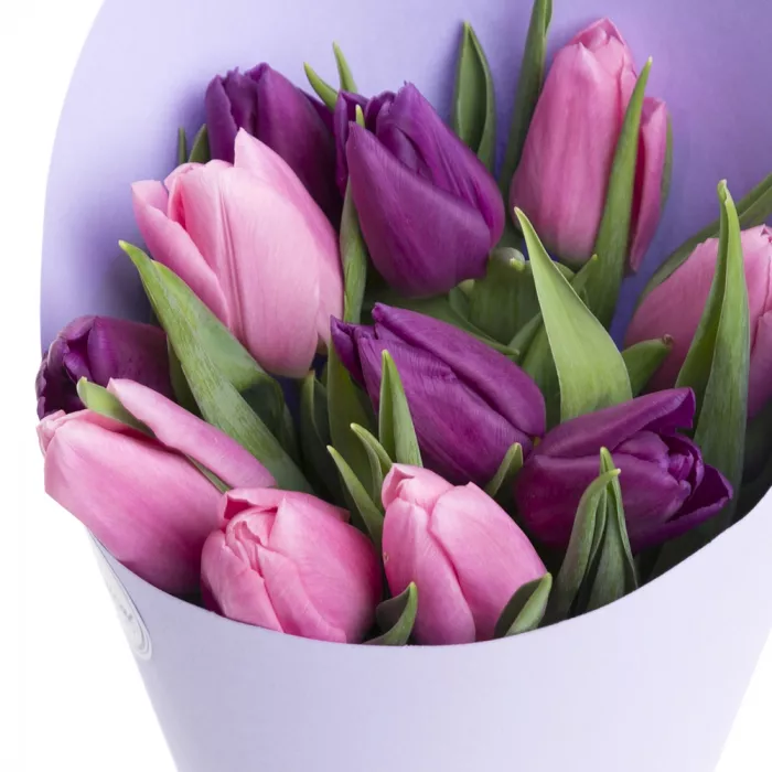 Букет из 11 разноцветных тюльпанов