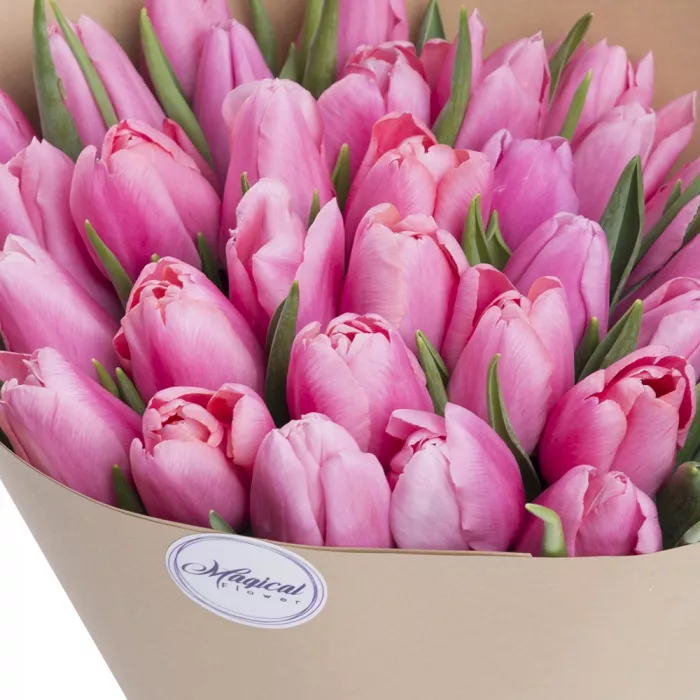 35 розовых тюльпанов