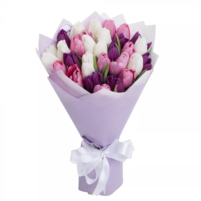 31 разноцветный тюльпан