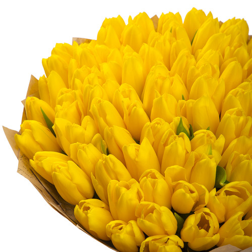 101 желтый тюльпан