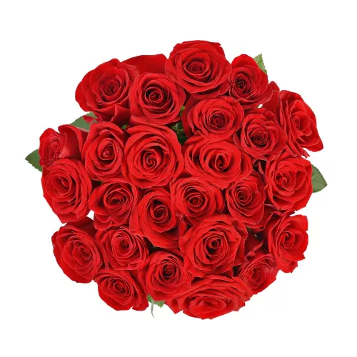 Букет красного цвета из 25 роз Premium 60 см