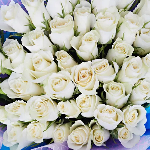 51 белая роза Кения в стиле Magical