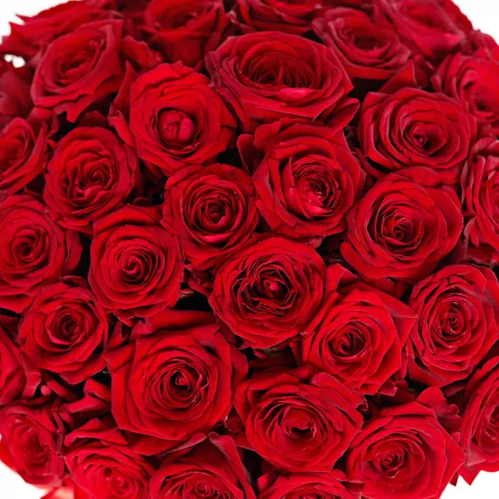 Шляпная коробка с букетом из 51 розы 