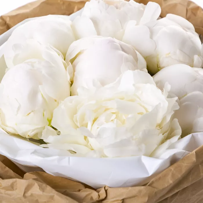 Букет из 7 белых пионов