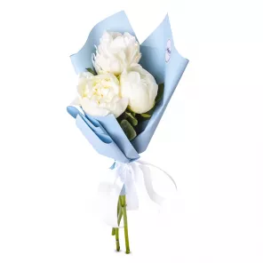 Букет из 3 белых пионов