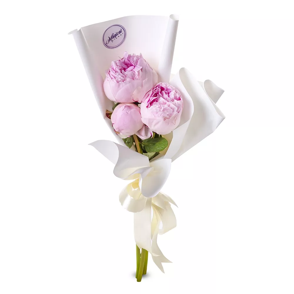 Букет из 3 розовых пионов - купить в Москве по цене 3090 р - Magic Flower