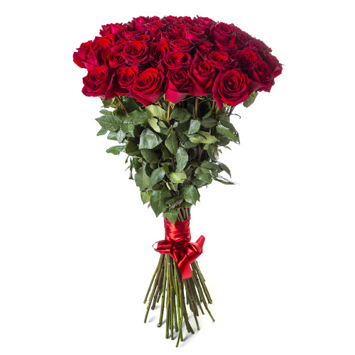 Монобукет из 51 красной розы Эквадор 100 см