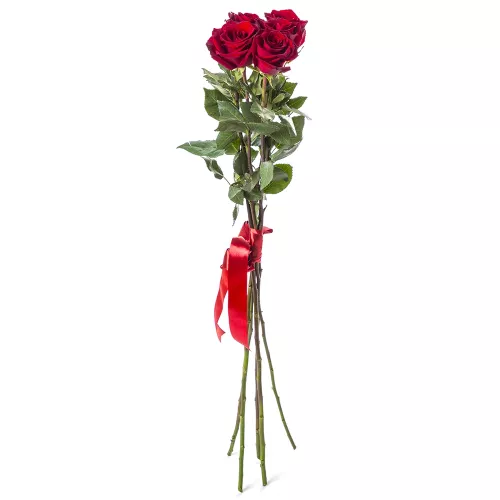 Букет из 5 красных роз Эквадор 100 см