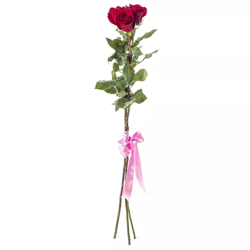 Букет из 3 красных роз Эквадор 100 см