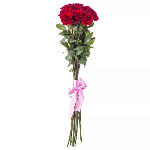 Букет из 11 метровых красных роз Эквадор 100 см