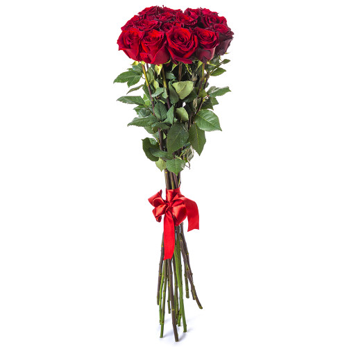 Букет красного цвета из 15 роз Эквадор 100 см