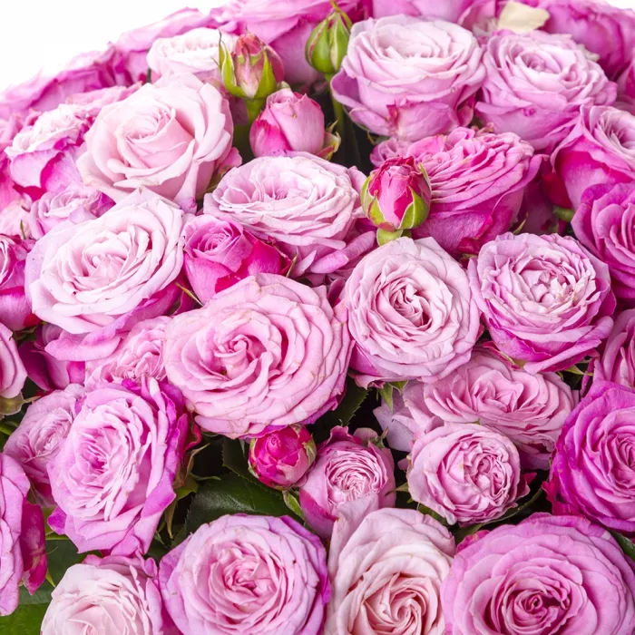 Букет из 51 розовой кустовой розы