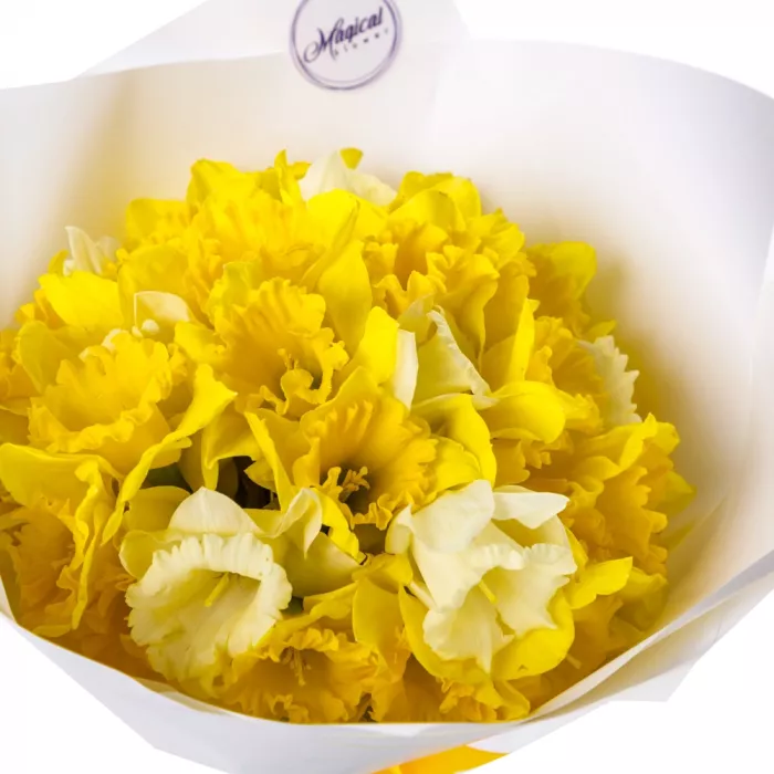 Букет из 25 нарциссов