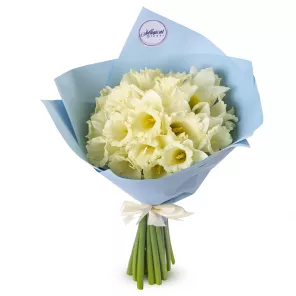 Букет из 21 белого нарцисса