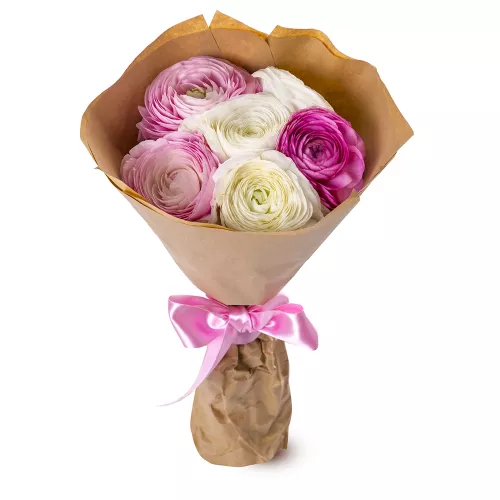 Букет из 7 разноцветных ранункулюсов