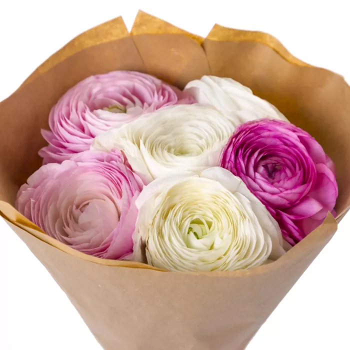 Букет из 7 разноцветных ранункулюсов