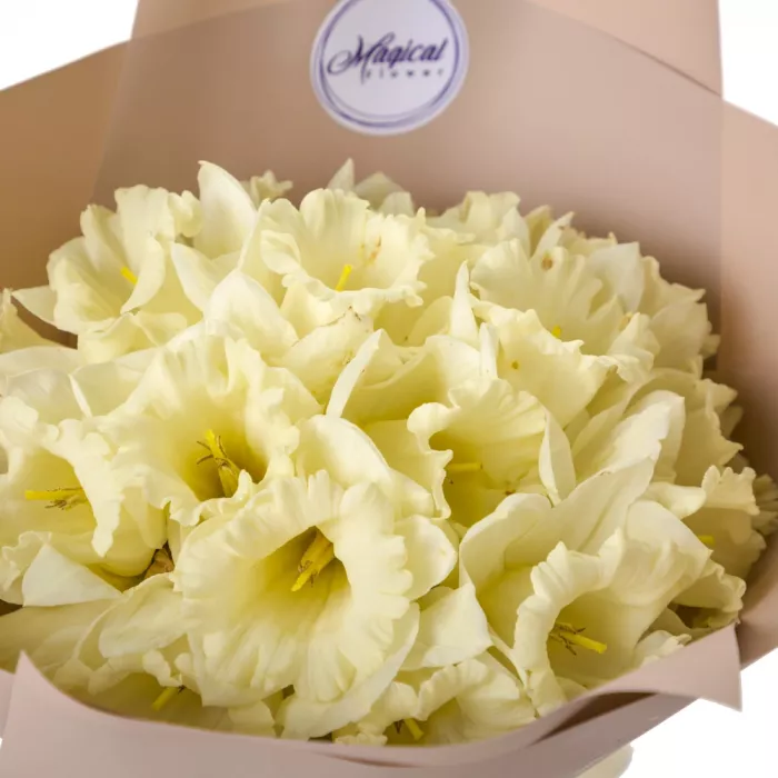 Букет из 19 белых нарциссов