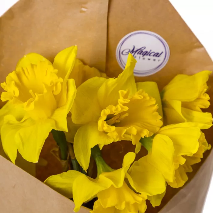 Букет из 7 желтых нарциссов