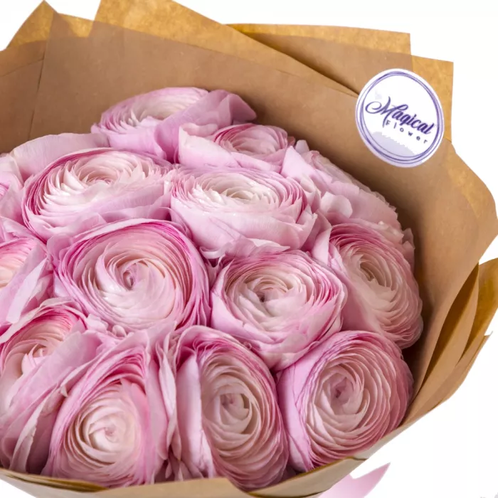 15 розовых ранункулюсов