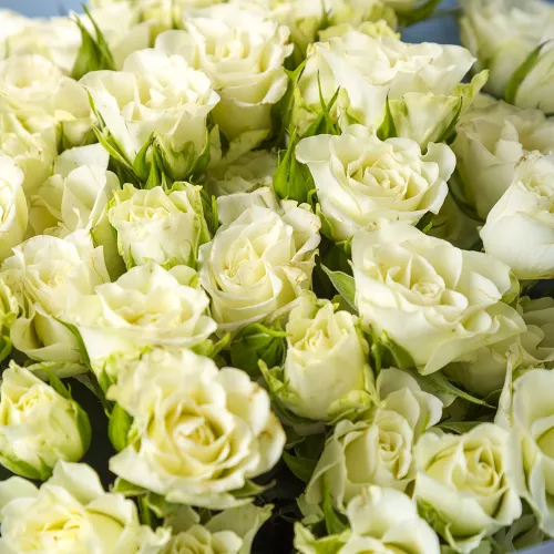 Белый букет из 19 кустовых роз в крафте