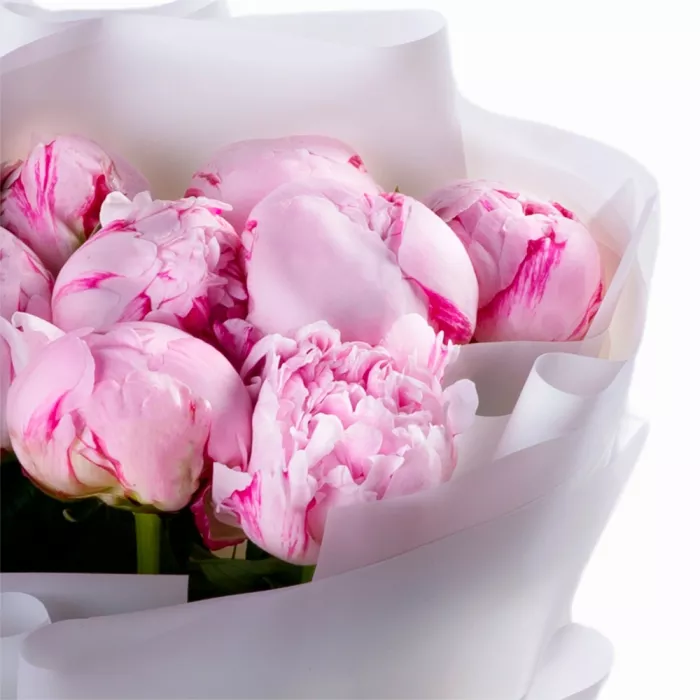9 розовых пионов