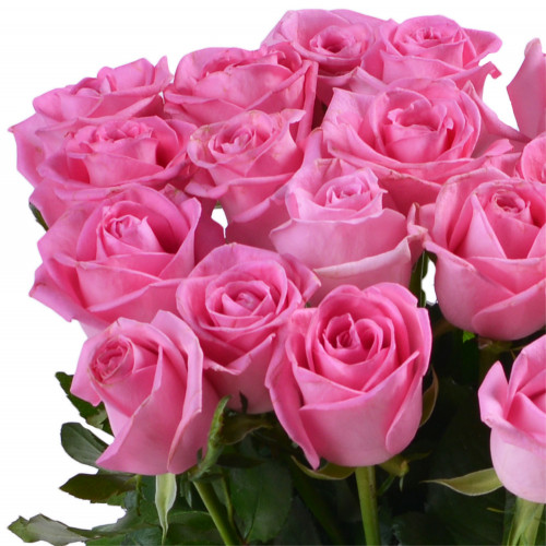 Монобукет из 19 розовых роз 50 см