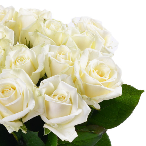 Монобукет из 15 белых роз Premium 40 см