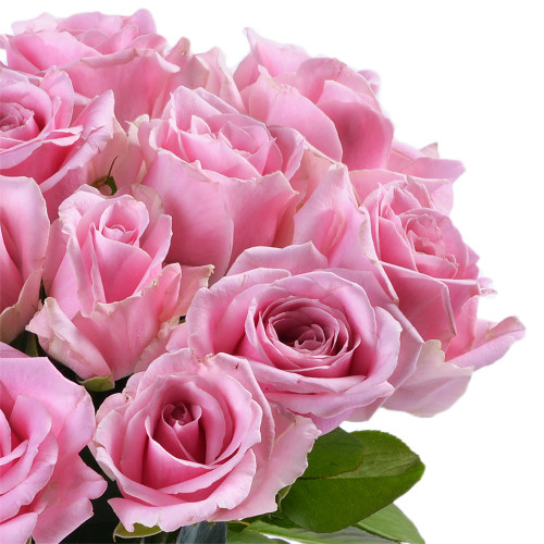 Монобукет из 15 розовых роз 40 см
