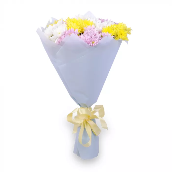 11 разноцветных хризантем