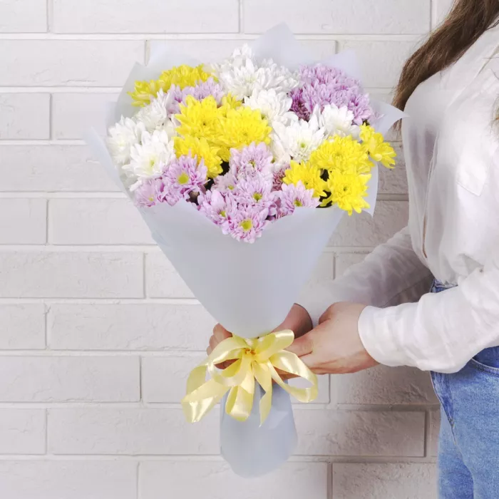 11 разноцветных хризантем