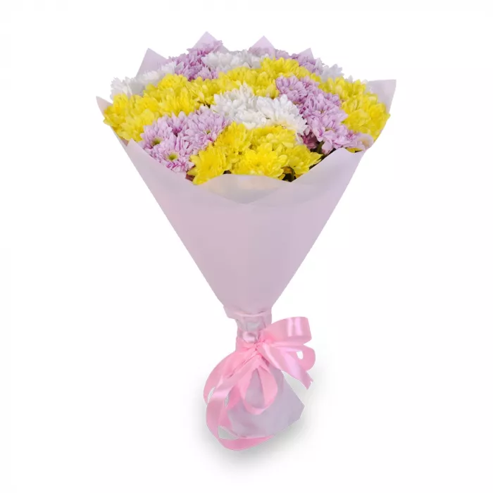 15 разноцветных хризантем