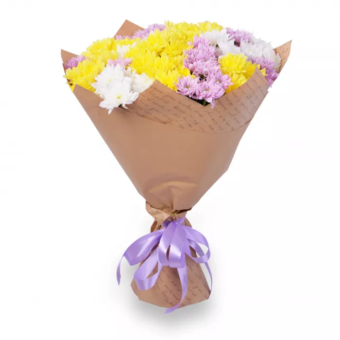 21 разноцветная хризантема