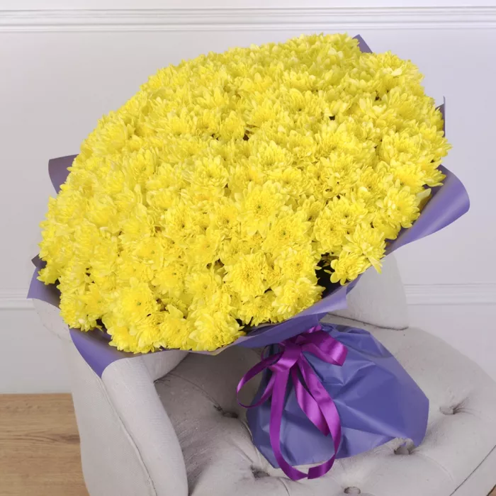 51 желтая хризантема