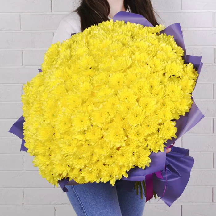 51 желтая хризантема