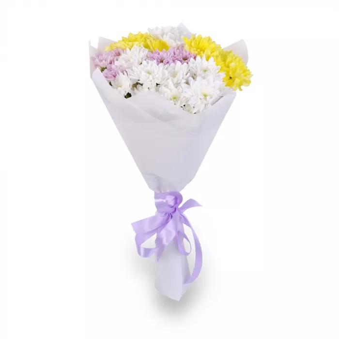 7 разноцветных хризантем