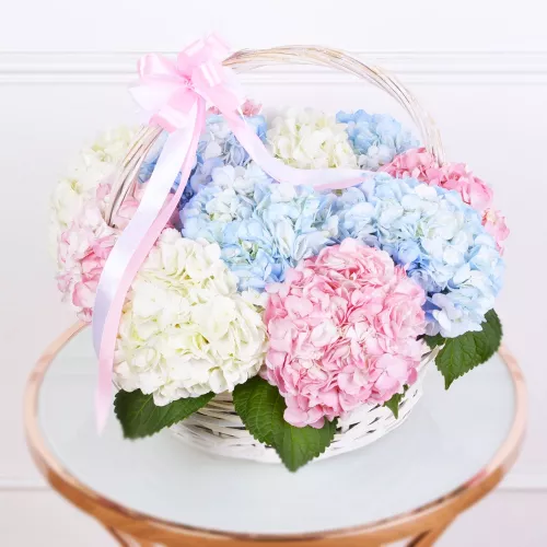 Корзина 11 Гортензий