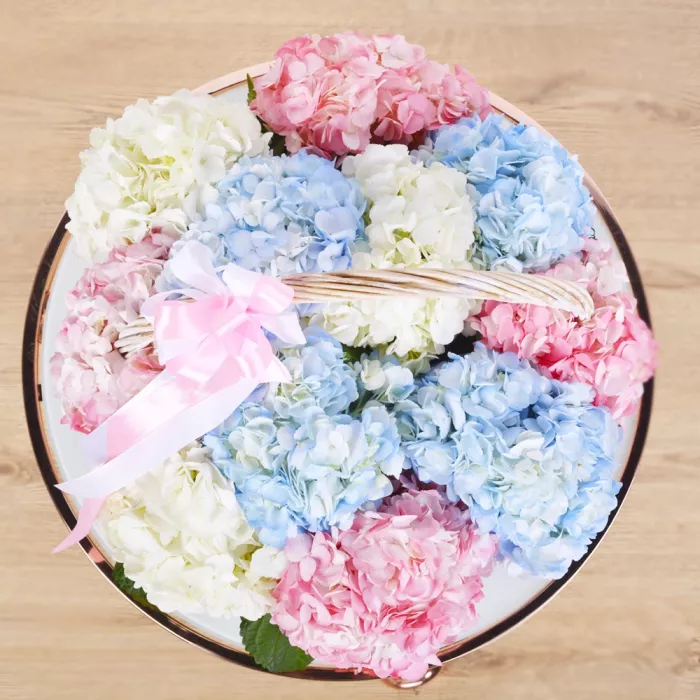 Корзина 11 Гортензий