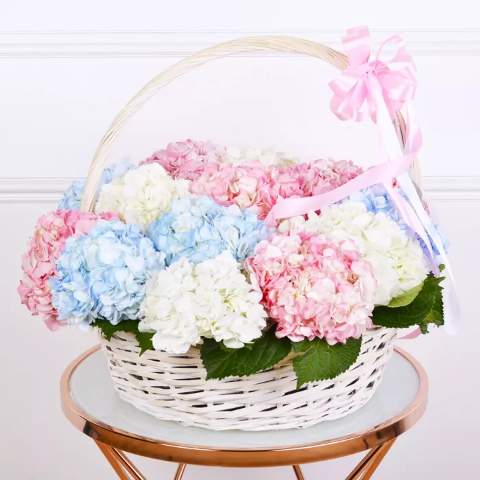 Корзина 15 разноцветных гортензий