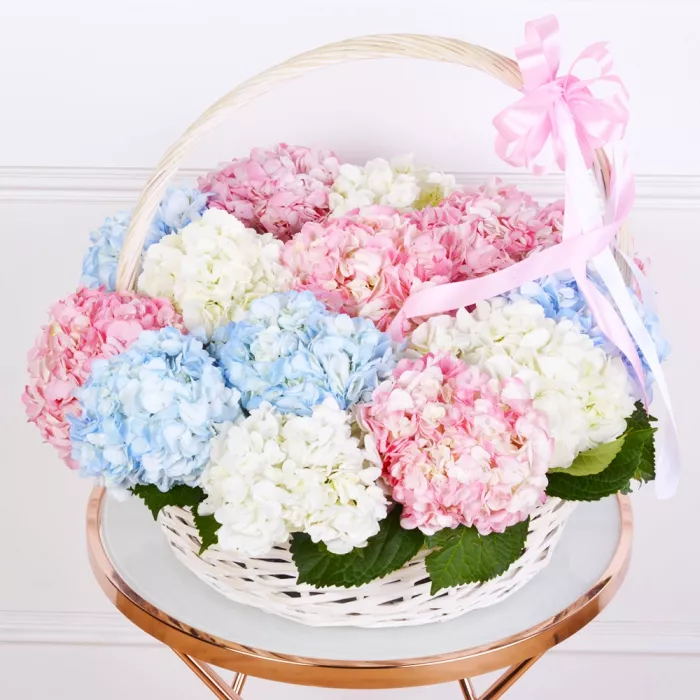 Корзина 15 разноцветных гортензий