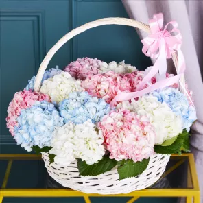 Корзина 15 разноцветных гортензий Корзина 15 разноцветных гортензий