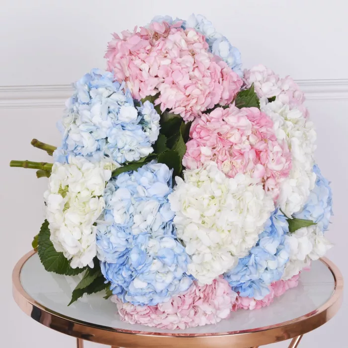 Букет из 15 Гортензий