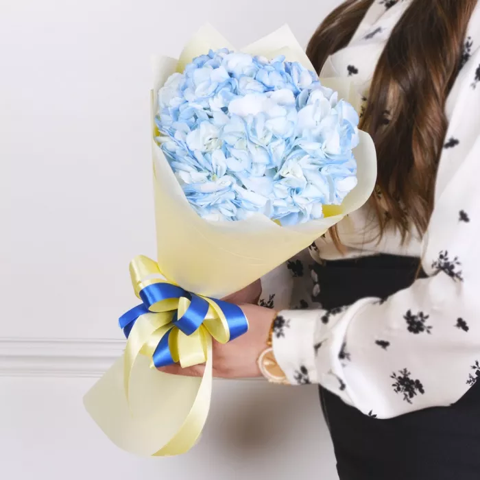 1 голубая гортензия