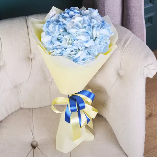 1 голубая гортензия