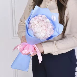 Букет из 1 Гортензии