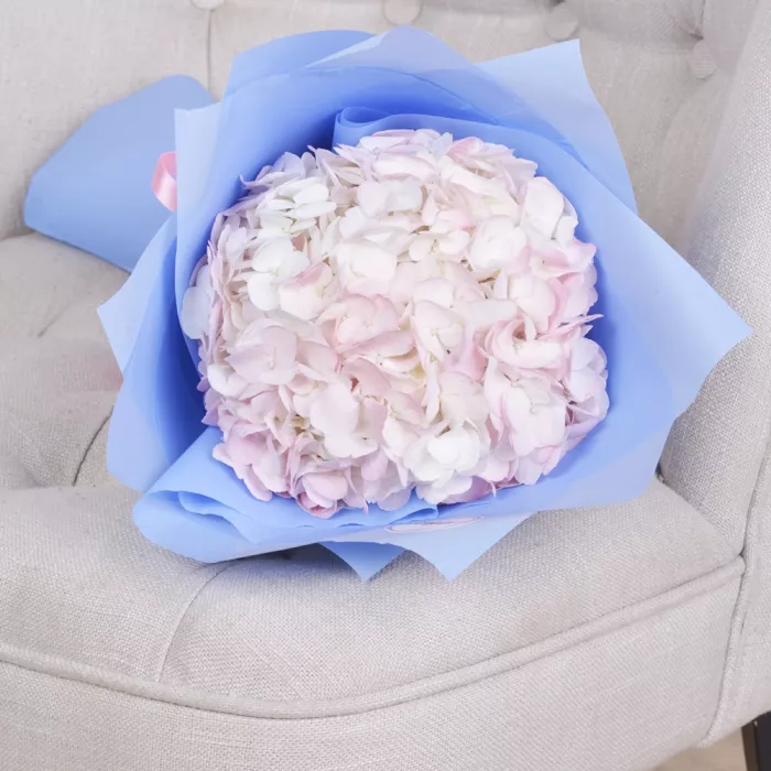 Букет из 1 Гортензии