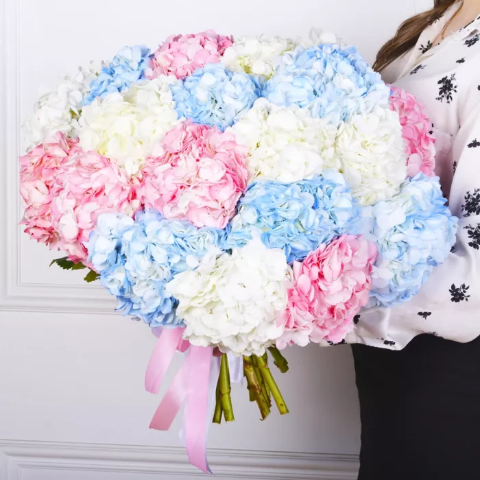 Букет из 21 Гортензий