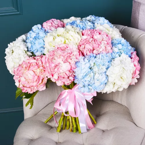 Букет из 21 Гортензий
